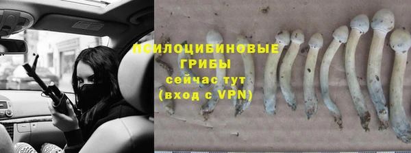 прущая мука Заводоуковск