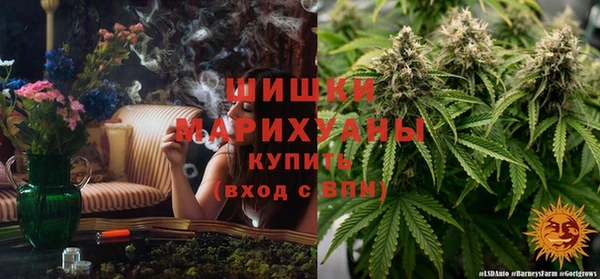 стаф Заволжск